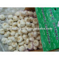 snow white garlic 10kg loose carton packing